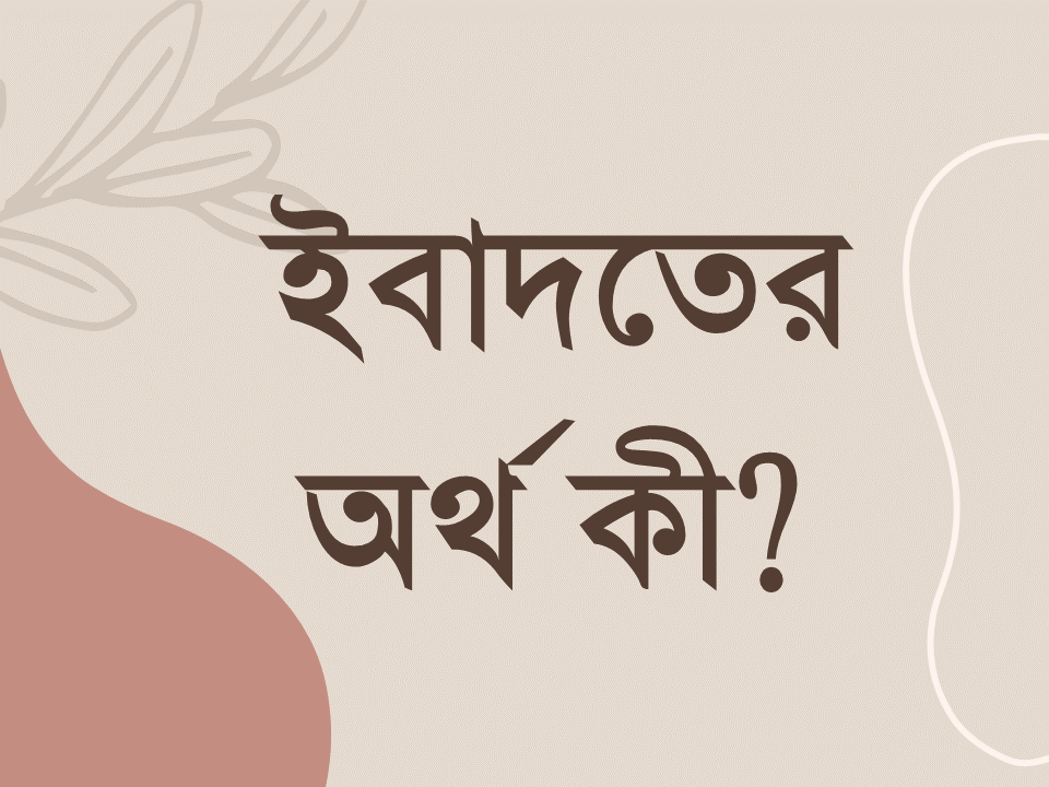 ইবাদাত অর্থ কী ?
