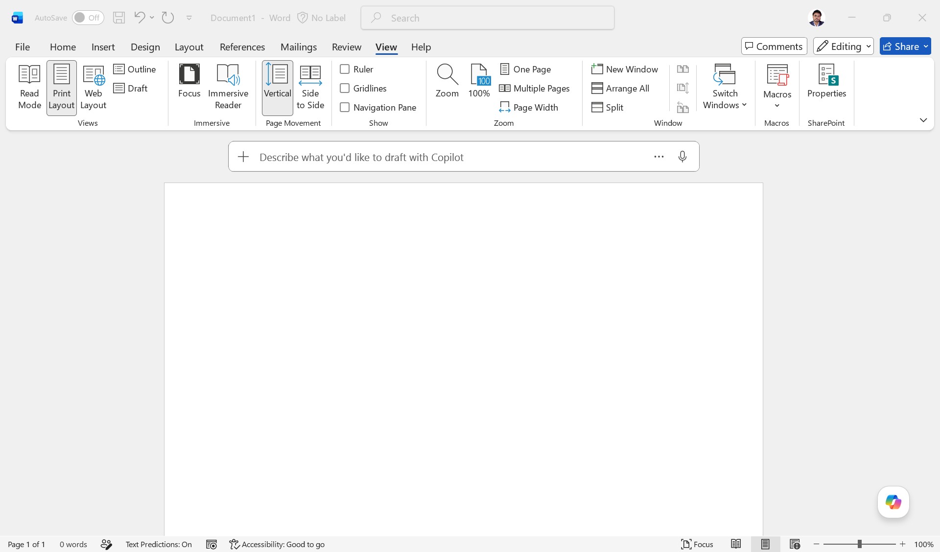 MS Word Interface - View