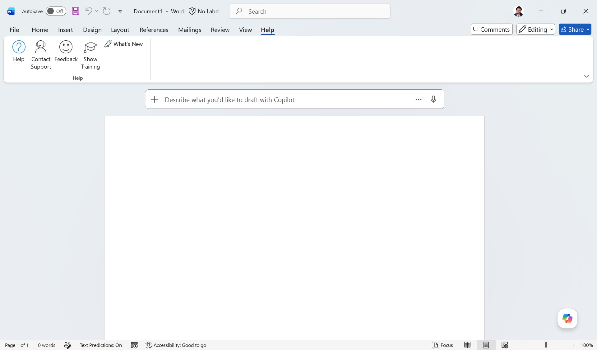 MS Word Interface - Help