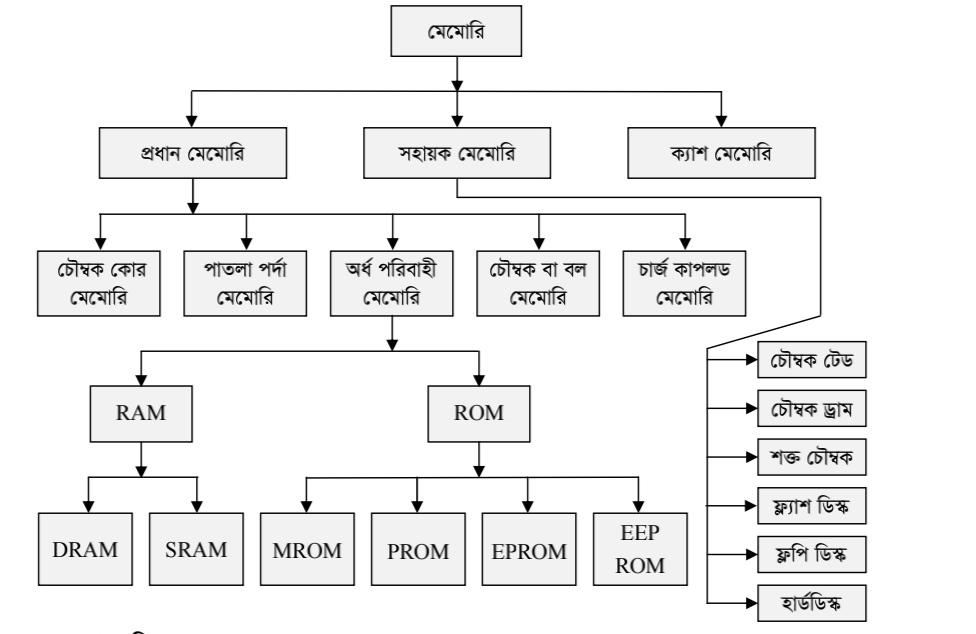 মেমোরির শ্রেণিবিভাগ