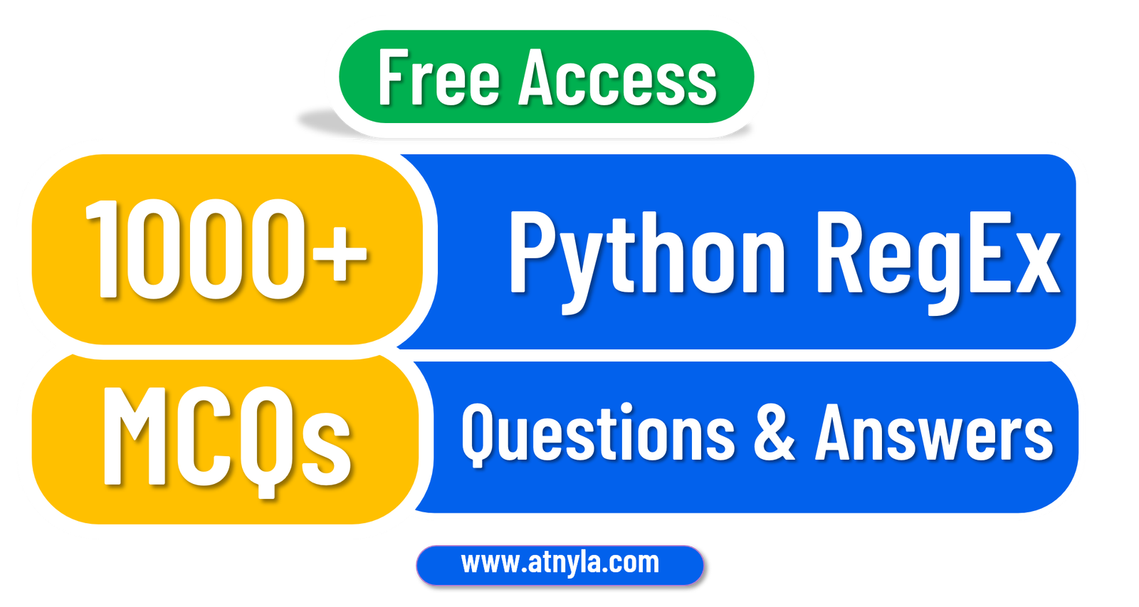 Python RegEx Module MCQ | Rumman Ansari