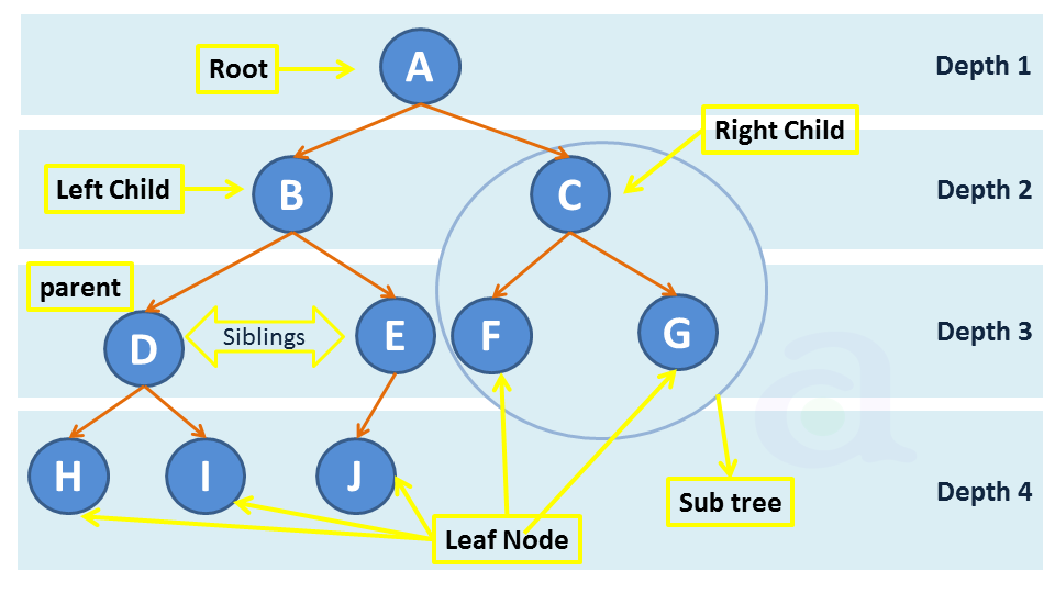 binary tree