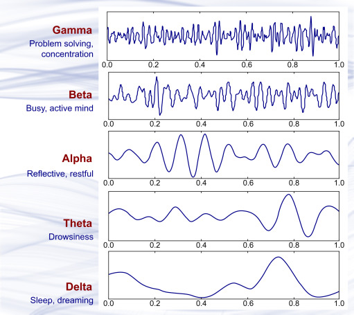 Brain wave samples with dominant frequencies belonging to beta, alpha, theta, and delta bands and gamma waves.