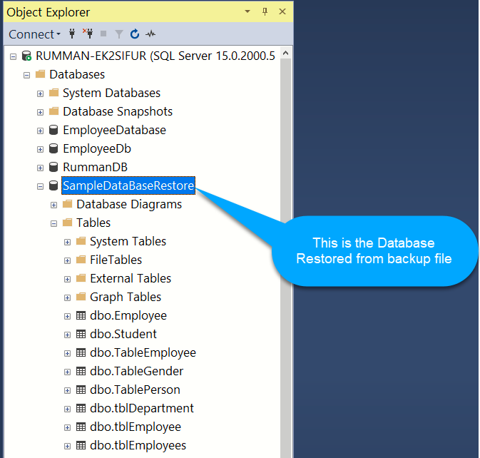 Database Restore in SQL Server Database Restore in SQL Server