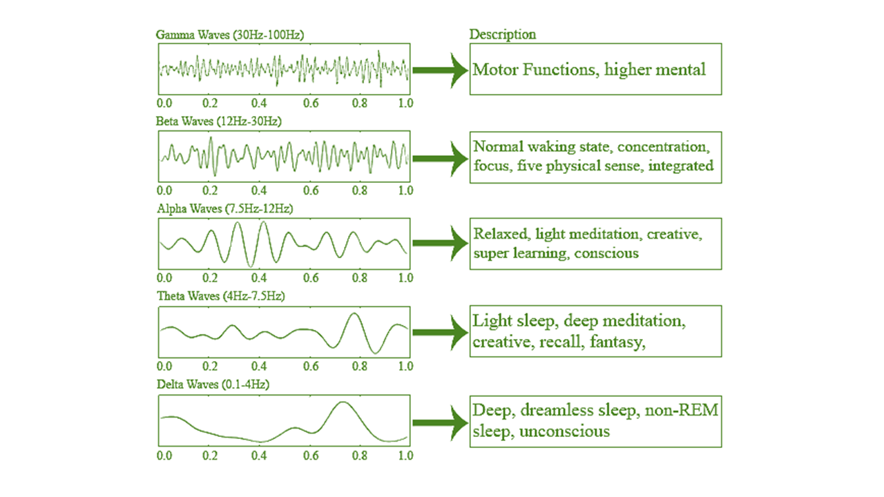 Brain waves charts description